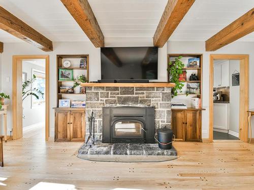 Salon - 258 Ch. Du Bois, Piedmont, QC - Indoor Photo Showing Other Room With Fireplace