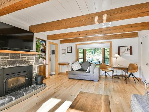 Salon - 258 Ch. Du Bois, Piedmont, QC - Indoor Photo Showing Living Room With Fireplace