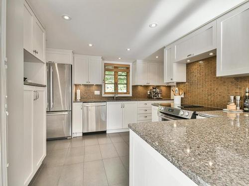 Kitchen - 258 Ch. Du Bois, Piedmont, QC - Indoor Photo Showing Kitchen With Upgraded Kitchen