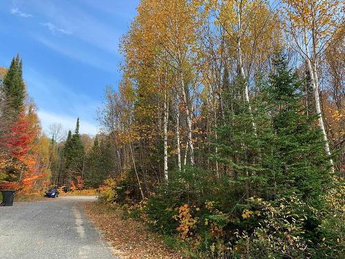 Street - Ch. De La Marmotte, Lac-Supérieur, QC 