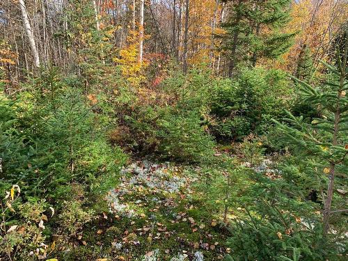 Land/Lot - Ch. De La Marmotte, Lac-Supérieur, QC 