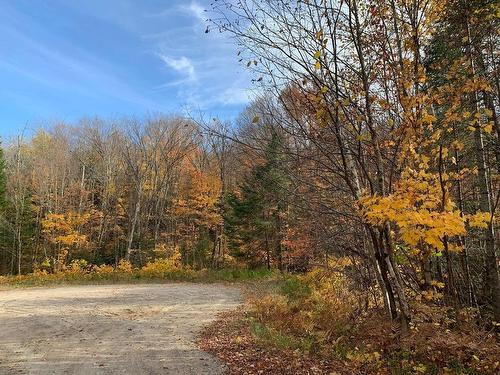 Street - Ch. De La Marmotte, Lac-Supérieur, QC 