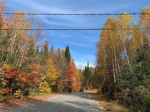 Street - Ch. De La Marmotte, Lac-Supérieur, QC 