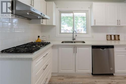 3039 California Avenue, Windsor, ON - Indoor Photo Showing Kitchen With Double Sink With Upgraded Kitchen