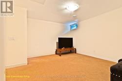 Family Room Basement - 