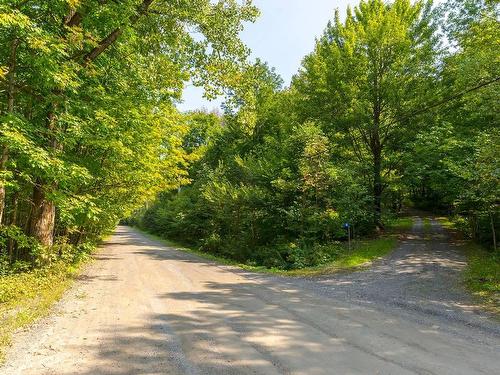 Ã proximitÃ© - 38 Ch. Turner, Lac-Brome, QC - Outdoor