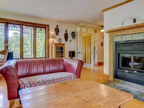 Living room - 38 Ch. Turner, Lac-Brome, QC - Indoor Photo Showing Living Room