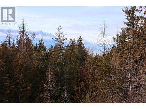 156 Lakeview Arrow Creek Road, Creston, BC - Outdoor With View