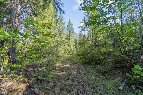 8569 Black Mountain Road, Chase, BC 