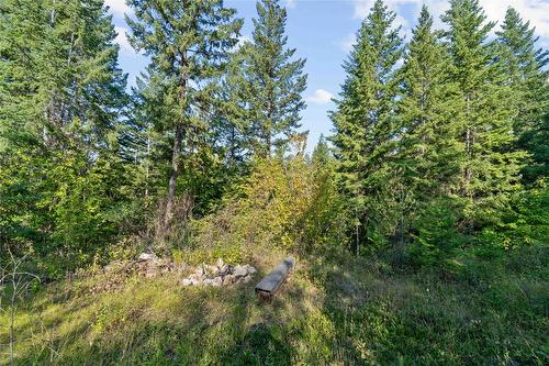 8569 Black Mountain Road, Chase, BC 