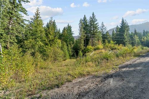 8569 Black Mountain Road, Chase, BC 