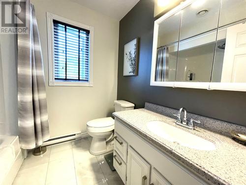 8 Beeton Place, Grand Falls-Windsor, NL - Indoor Photo Showing Bathroom