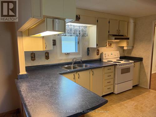 29 Circle Drive, Kawartha Lakes (Lindsay), ON - Indoor Photo Showing Kitchen With Double Sink