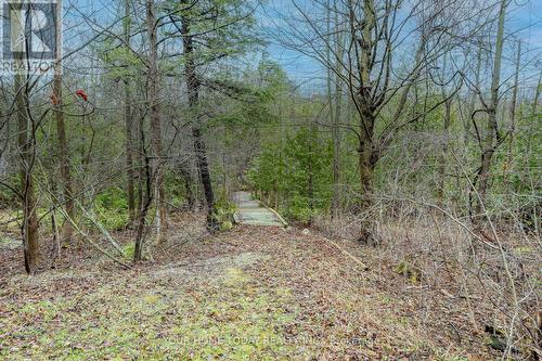 9405 Five Side Road, Erin, ON - Outdoor With View