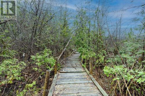 9405 Five Side Road, Erin, ON - Outdoor With View