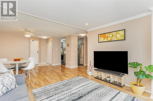 205 - 25 Trailwood Drive, Mississauga (Hurontario), ON - Indoor Photo Showing Living Room