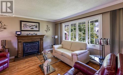 39 Donna Road, Paradise, NL - Indoor Photo Showing Living Room With Fireplace