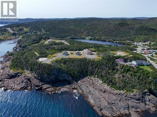 22 Grady'S Point Road, Bauline East, NL - Outdoor With Body Of Water With View