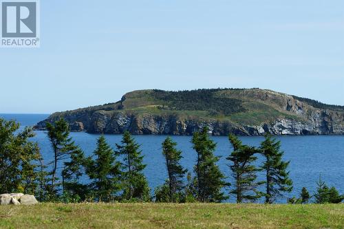 22 Grady'S Point Road, Bauline East, NL - Outdoor With Body Of Water With View