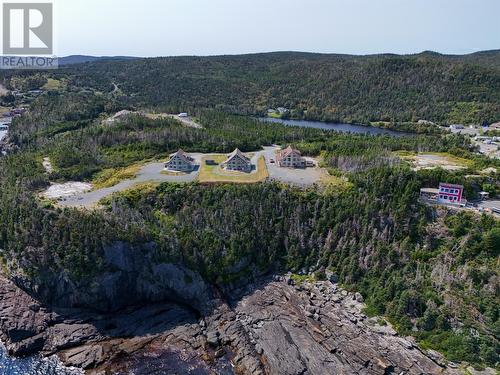 22 Grady'S Point Road, Bauline East, NL - Outdoor With View