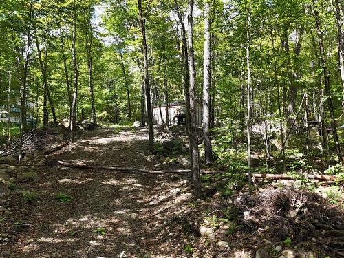 Wooded area - Rue Inson, Brownsburg-Chatham, QC 