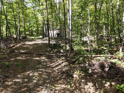 Wooded area - Rue Inson, Brownsburg-Chatham, QC 