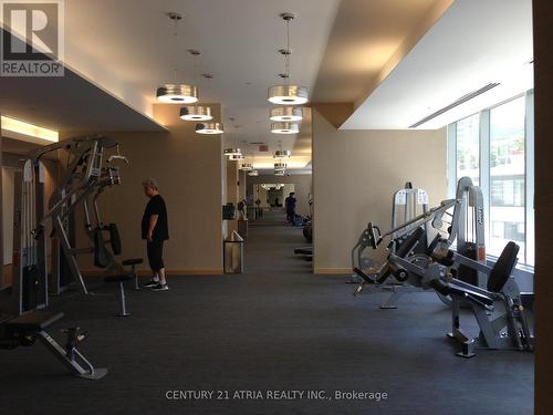 2008 - 65 Bremner Boulevard, Toronto (Waterfront Communities), ON - Indoor Photo Showing Gym Room