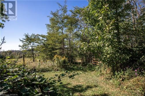 282 Elsinore Road, South Bruce Peninsula, ON - Outdoor