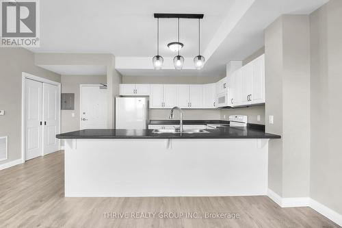 103 - 263 Butler Street, Lucan Biddulph (Lucan), ON - Indoor Photo Showing Kitchen With Double Sink