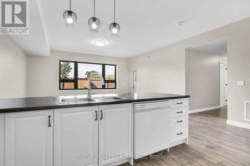 103 - 263 Butler Street, Lucan Biddulph (Lucan), ON - Indoor Photo Showing Kitchen With Double Sink