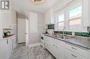 127 Mill Street, Kitchener, ON  - Indoor Photo Showing Kitchen With Double Sink 