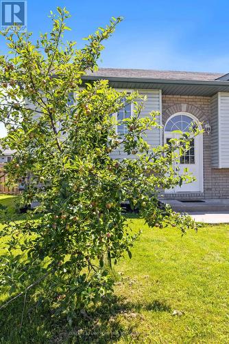 15 Jason Crescent, Quinte West, ON - Outdoor