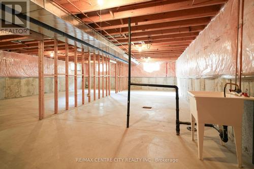 11 Pittao Place, Strathroy-Caradoc (Ne), ON - Indoor Photo Showing Basement