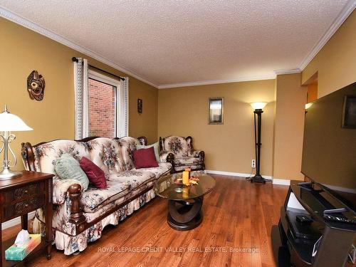 88 Parkside Dr, Brampton, ON - Indoor Photo Showing Living Room