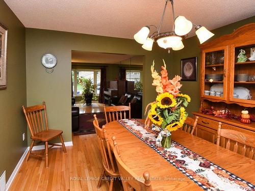 88 Parkside Dr, Brampton, ON - Indoor Photo Showing Dining Room