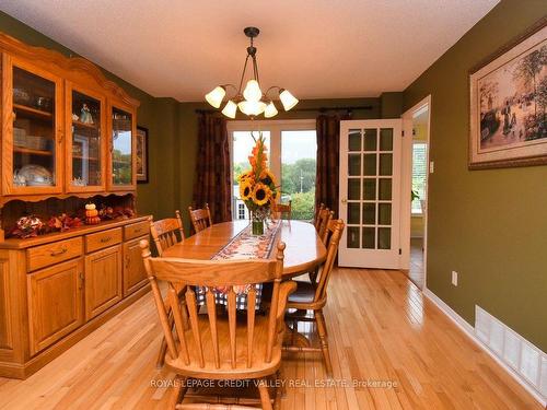 88 Parkside Dr, Brampton, ON - Indoor Photo Showing Dining Room