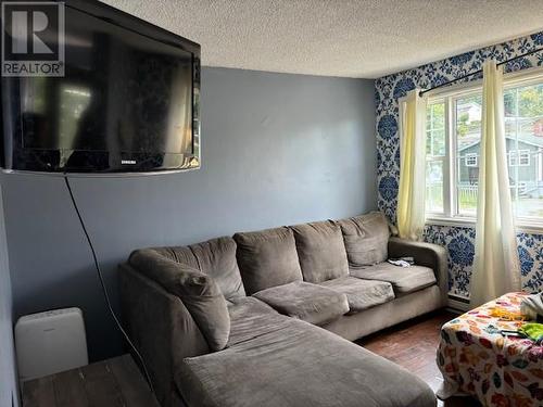 28 Linegar Avenue, St. John'S, NL - Indoor Photo Showing Living Room