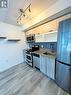 708W - 36 Lisgar Street, Toronto, ON  - Indoor Photo Showing Kitchen With Stainless Steel Kitchen 