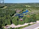 407047 Grey Road 4, Grey Highlands, ON  - Outdoor With View 