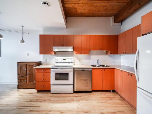 Cuisine - 210-2295 Av. Aird, Montréal (Mercier/Hochelaga-Maisonneuve), QC - Indoor Photo Showing Kitchen With Double Sink