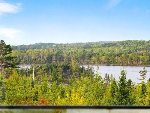 637 Deerfoot Ridge, West Chezzetcook, NS 