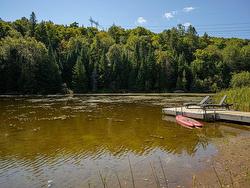 Bord de l'eau - 