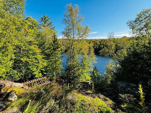 Vue sur l'eau - 1096 Ch. Du Lac-Winnetou, Amherst, QC - Outdoor With View