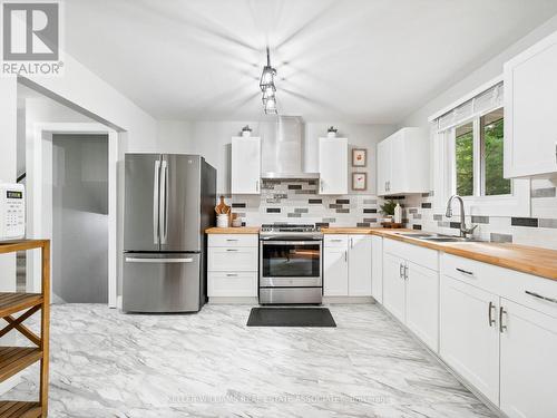 633 Main Street E, Shelburne, ON - Indoor Photo Showing Kitchen With Double Sink