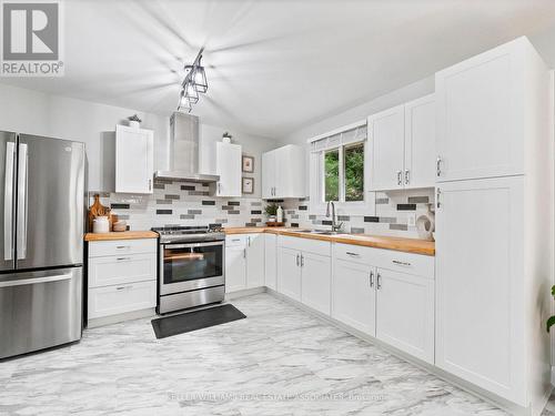 633 Main Street E, Shelburne, ON - Indoor Photo Showing Kitchen With Double Sink