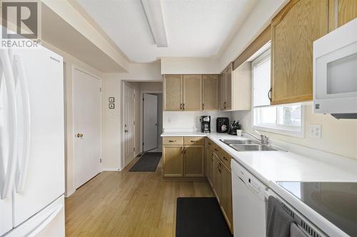 866 Lake St, Sault Ste. Marie, ON - Indoor Photo Showing Kitchen With Double Sink