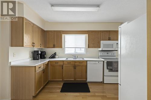 866 Lake St, Sault Ste. Marie, ON - Indoor Photo Showing Kitchen With Double Sink