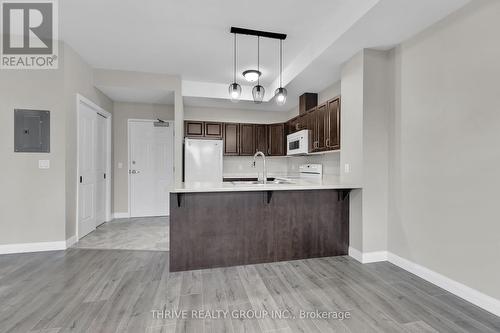 301 - 263 Butler Street, Lucan Biddulph (Lucan), ON - Indoor Photo Showing Kitchen