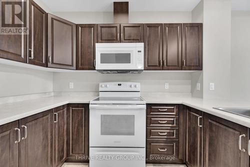 301 - 263 Butler Street, Lucan Biddulph (Lucan), ON - Indoor Photo Showing Kitchen