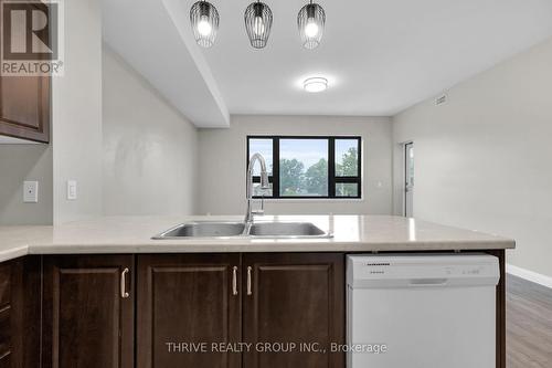 301 - 263 Butler Street, Lucan Biddulph (Lucan), ON - Indoor Photo Showing Kitchen With Double Sink